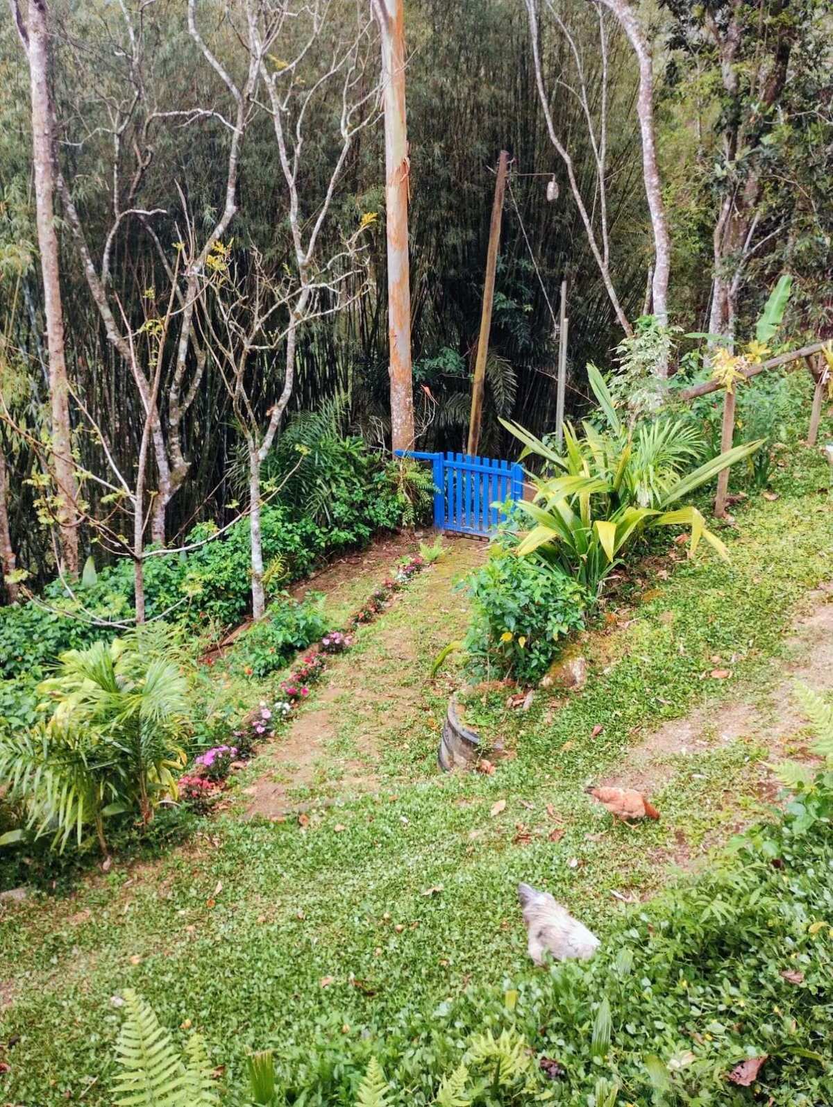 Sítio à venda com 3 quartos - ,Lumiar